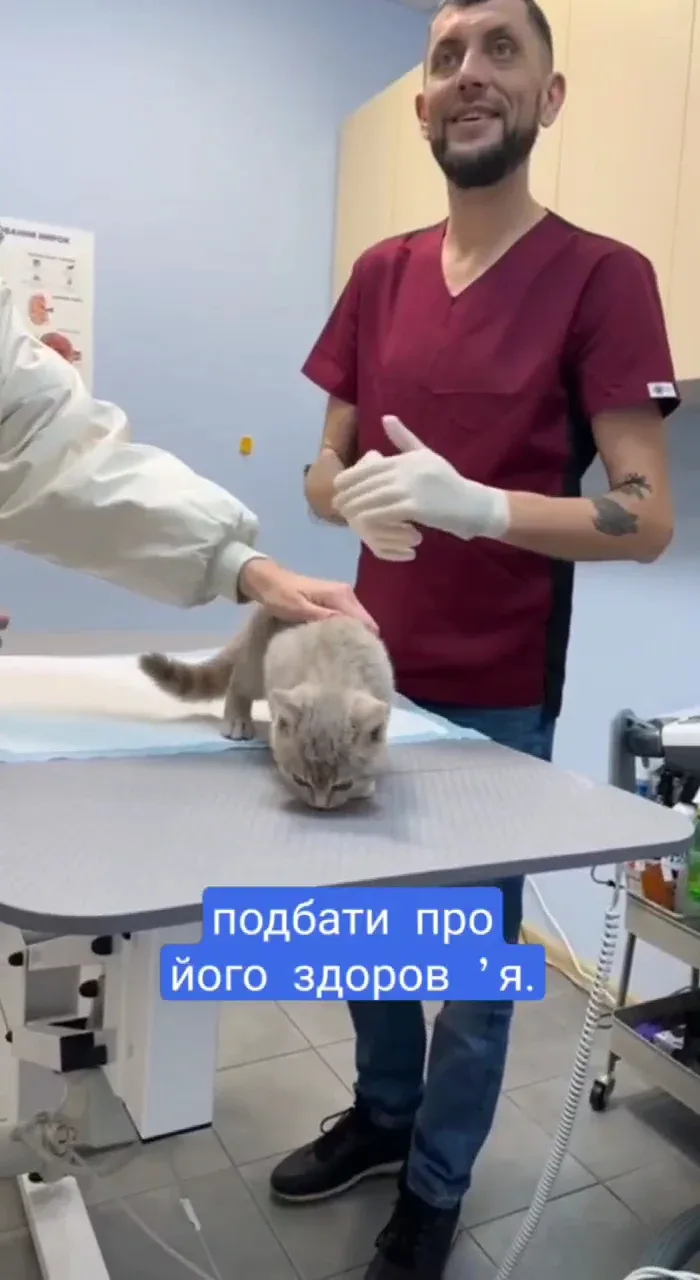 Ласкавий Ветеринар Буча