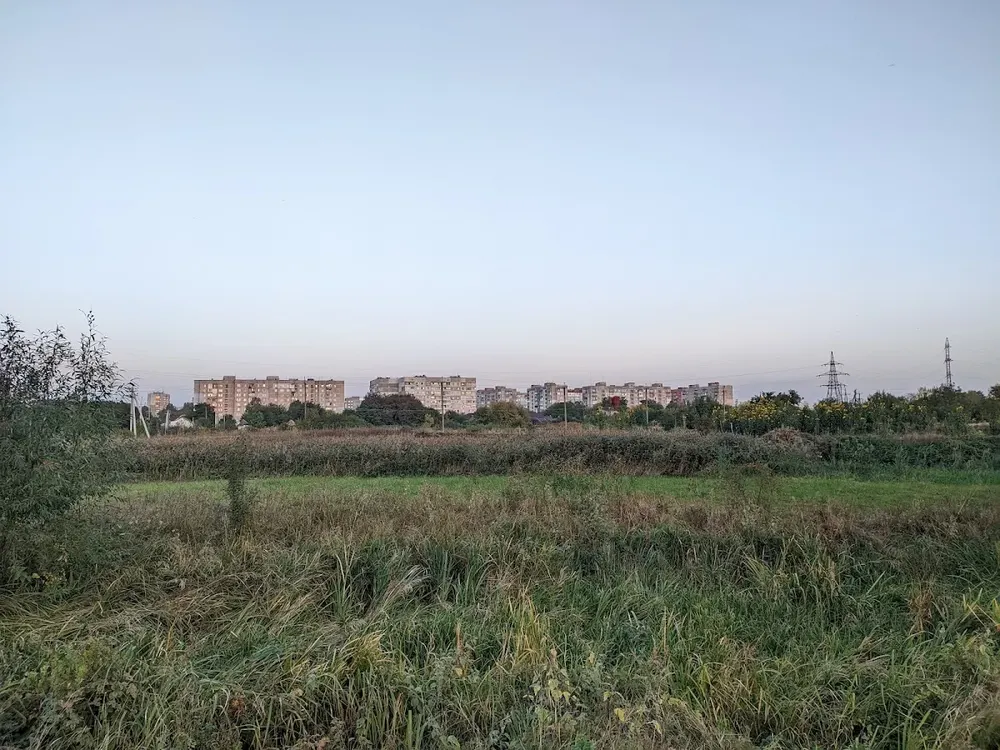Лісова стежка