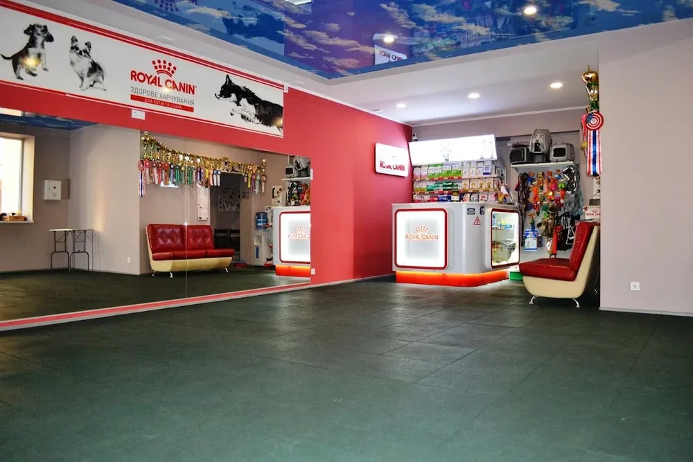 Dog’s - Sport & Show - 4