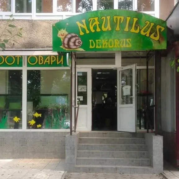 Nautilus